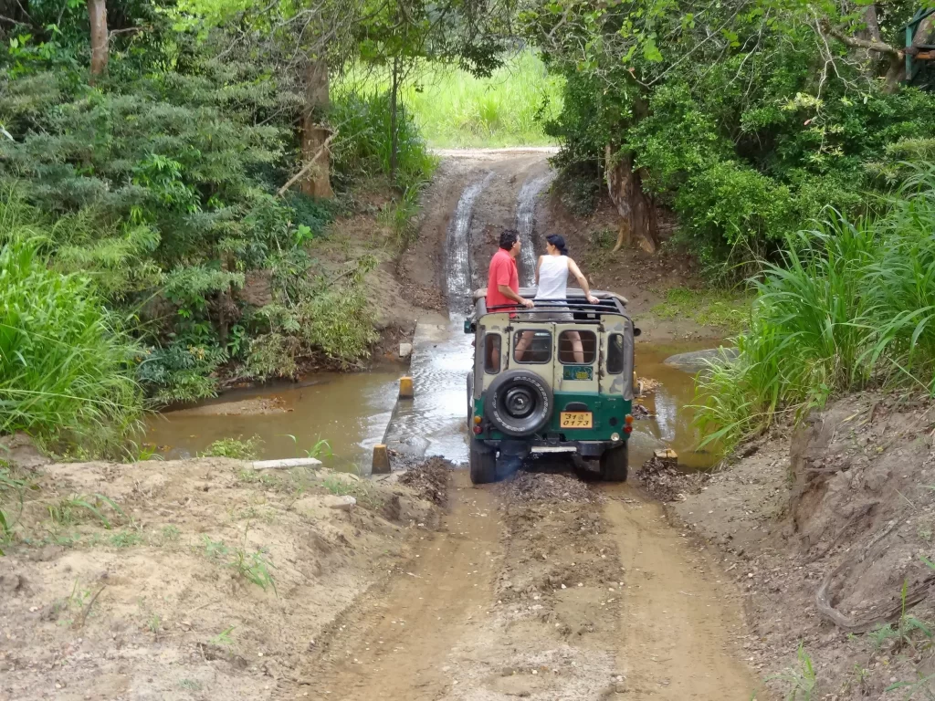 jeep safari timings in kaziranga